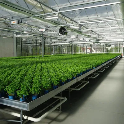 Exploração agrícola servida por Searas do Caia
