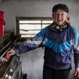 Engenheiro Agrónomo Responsável